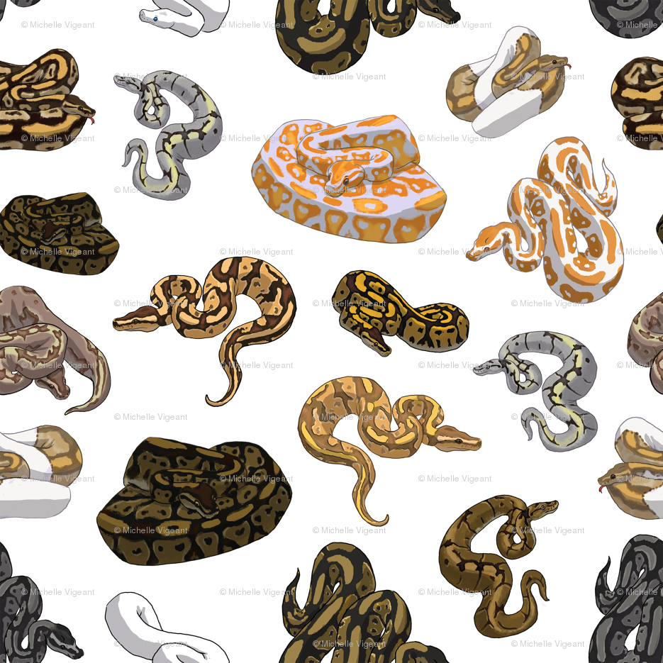 Ball Python Morph Pattern Transparent Wallpaper - Ball Python Pattern Morph Clipart (935x935), Png Download