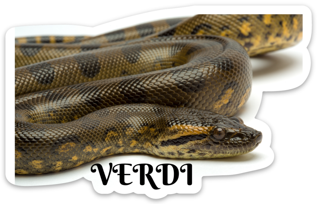 Python Clipart (1024x660), Png Download