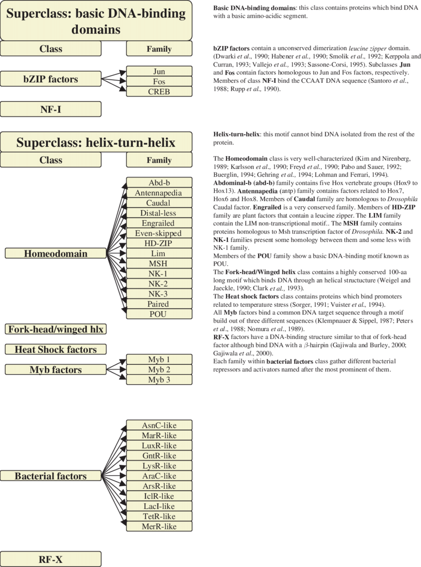 Classification Of The Different Dna Binding Domains - Dna Binding Protein Classification Clipart (850x1144), Png Download