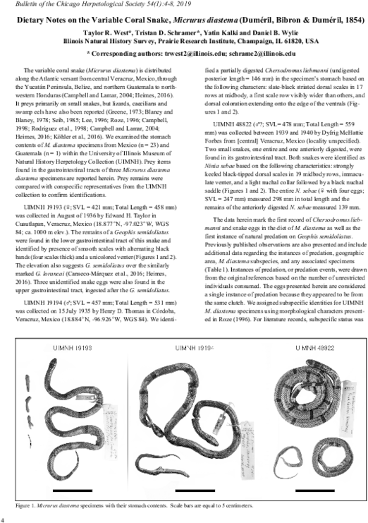 Pdf - “bernard G. (bernie) Silberstein (1905–1999)" Clipart (600x776), Png Download