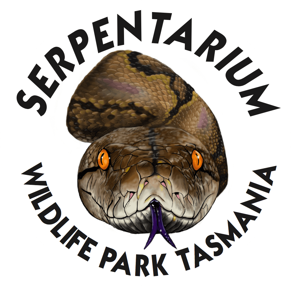 Oceanic Research Centre Australia Clipart (962x947), Png Download