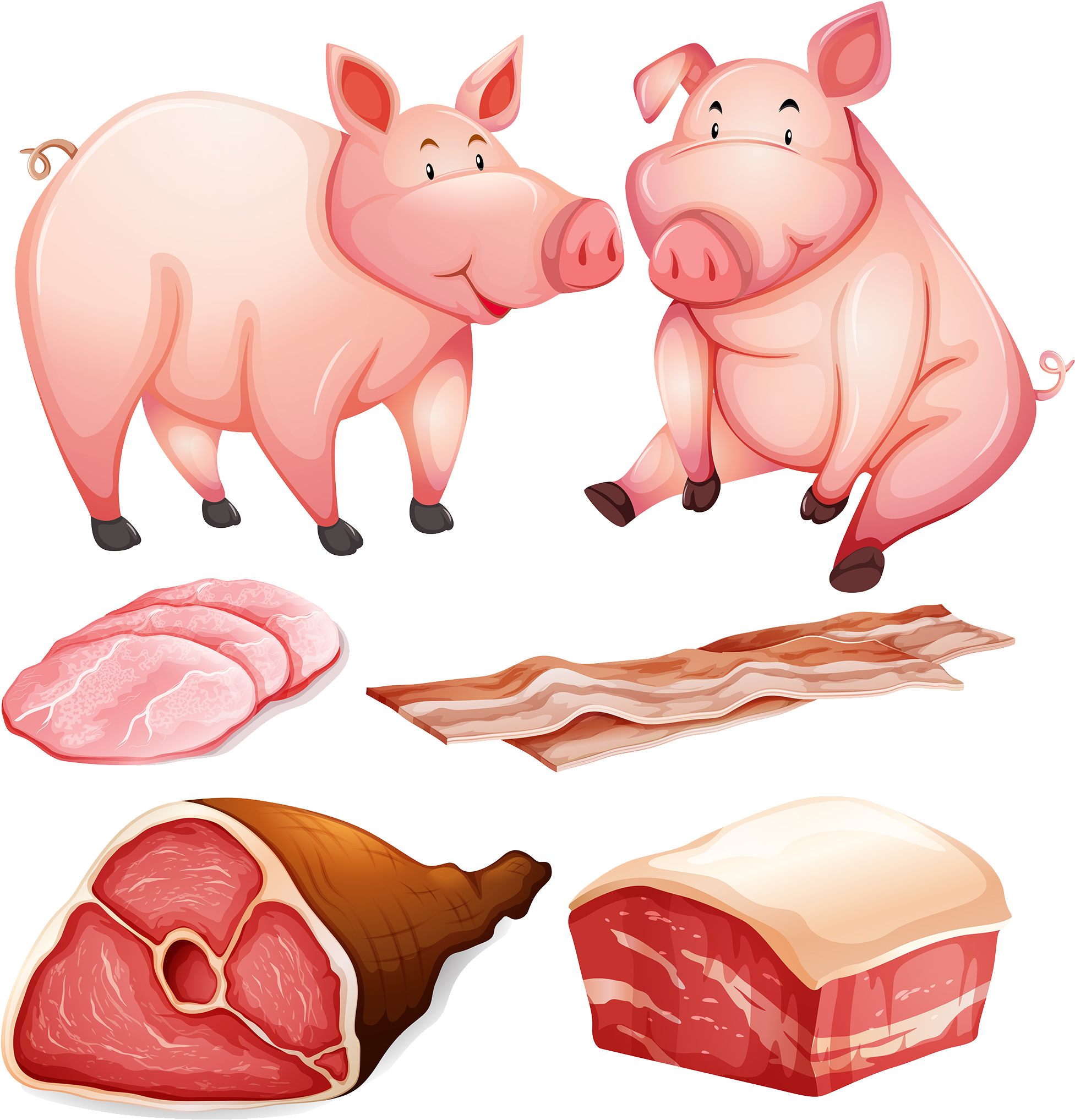 Pork Clipart Pig Snout - Pig Flashcard - Png Download (1953x2035), Png Download