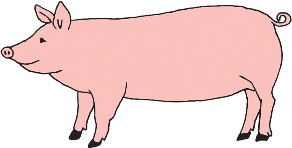 Domestic Pig Clipart (1200x1200), Png Download