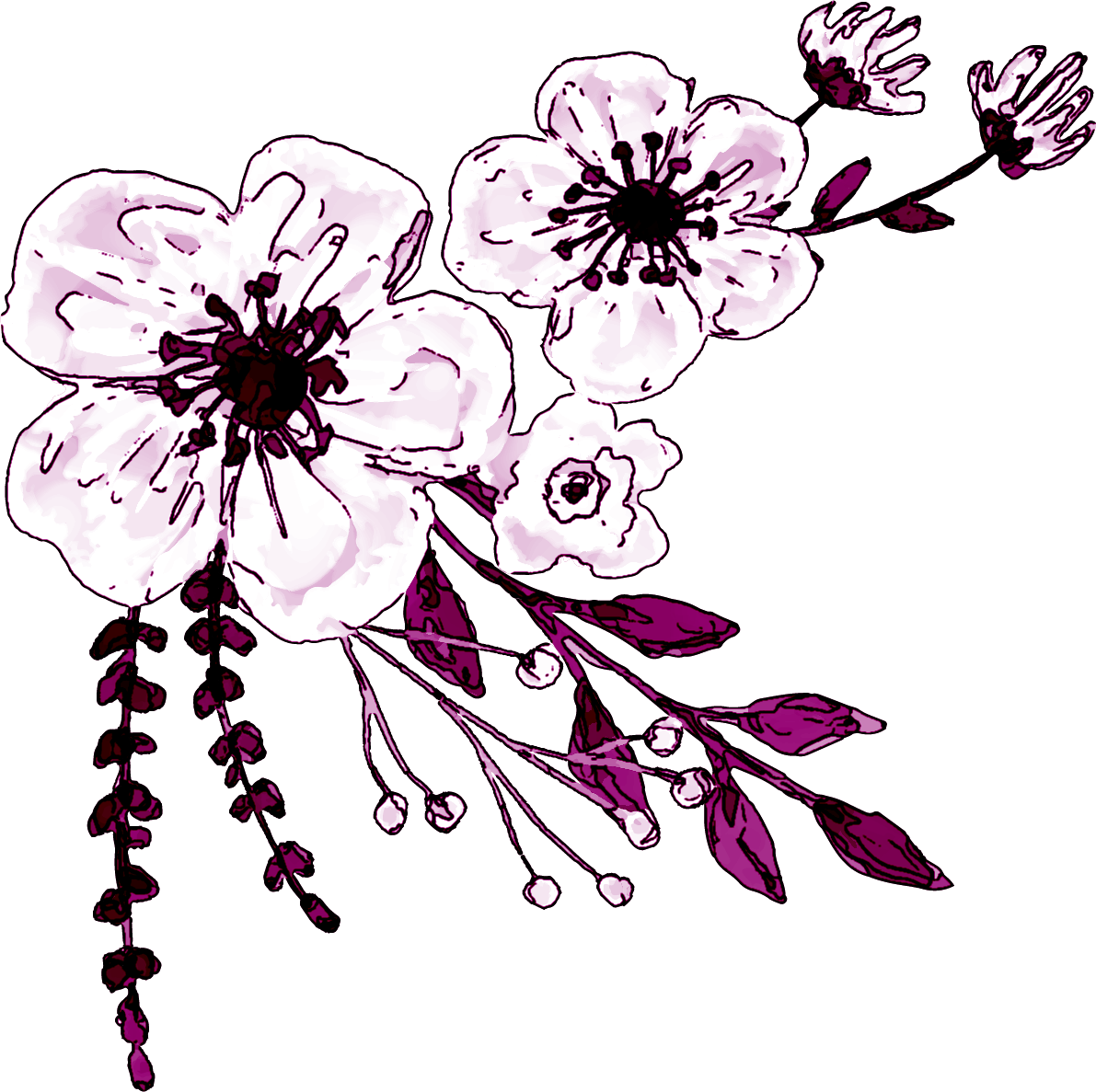 Watercolor White Flower Clipart - Blog - Png Download (1191x1187), Png Download
