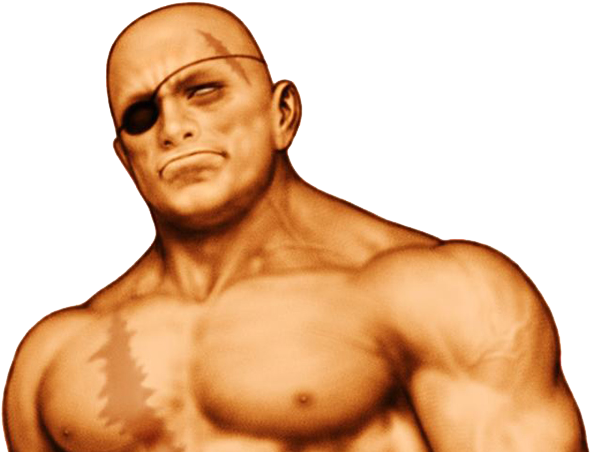 #accesoriosdevideojuegos - Sagat - Street Fighter - Sagat Street Fighter Clipart (900x473), Png Download