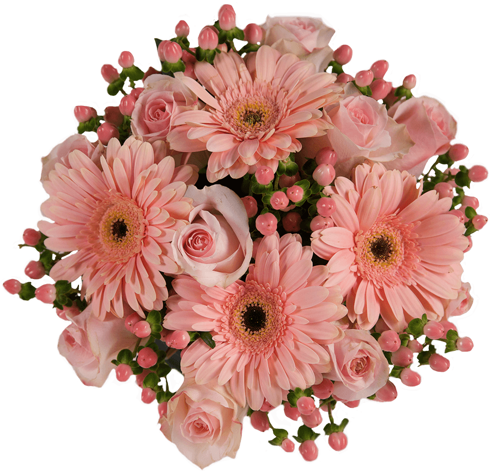 Peach Cobbler - Barberton Daisy Clipart (1000x1000), Png Download