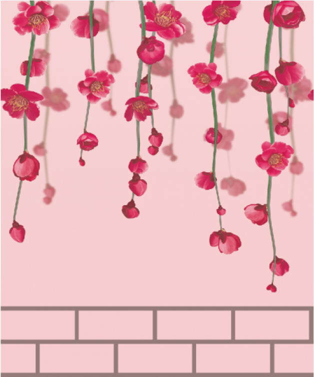 Peach Floral Wallpaper - Moth Orchid Clipart (700x850), Png Download