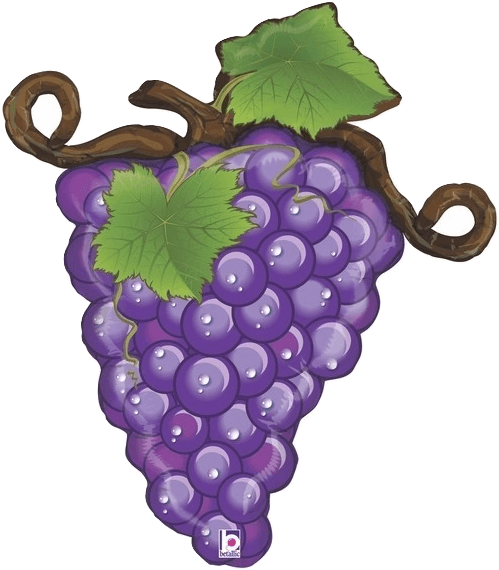 Grapes Purple Clipart (521x599), Png Download
