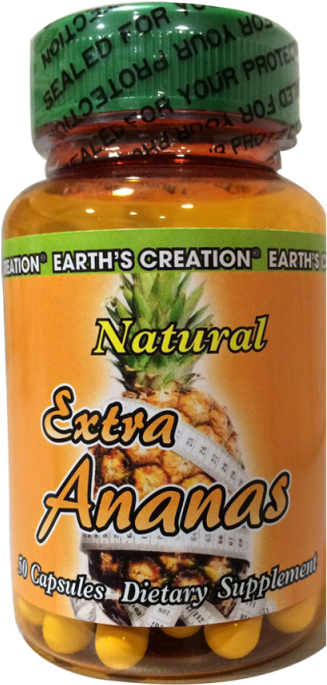 Agaricus Clipart (800x1120), Png Download