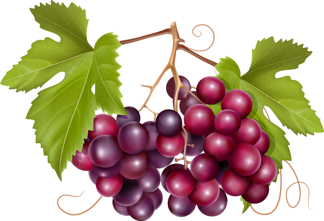 Pin By Jadwiga - Grape Design Clipart (1075x734), Png Download