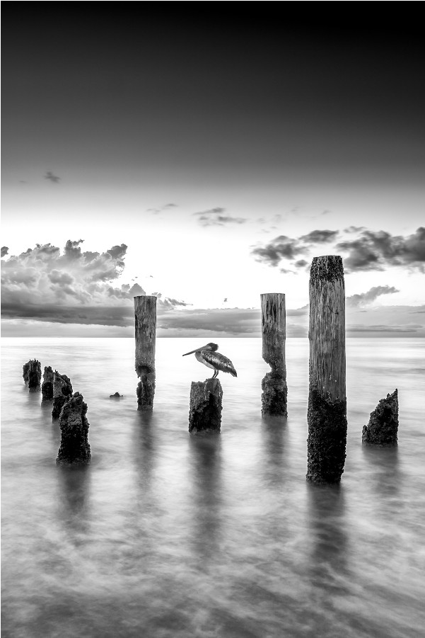 The Shop - Monochrome Clipart (1000x1000), Png Download