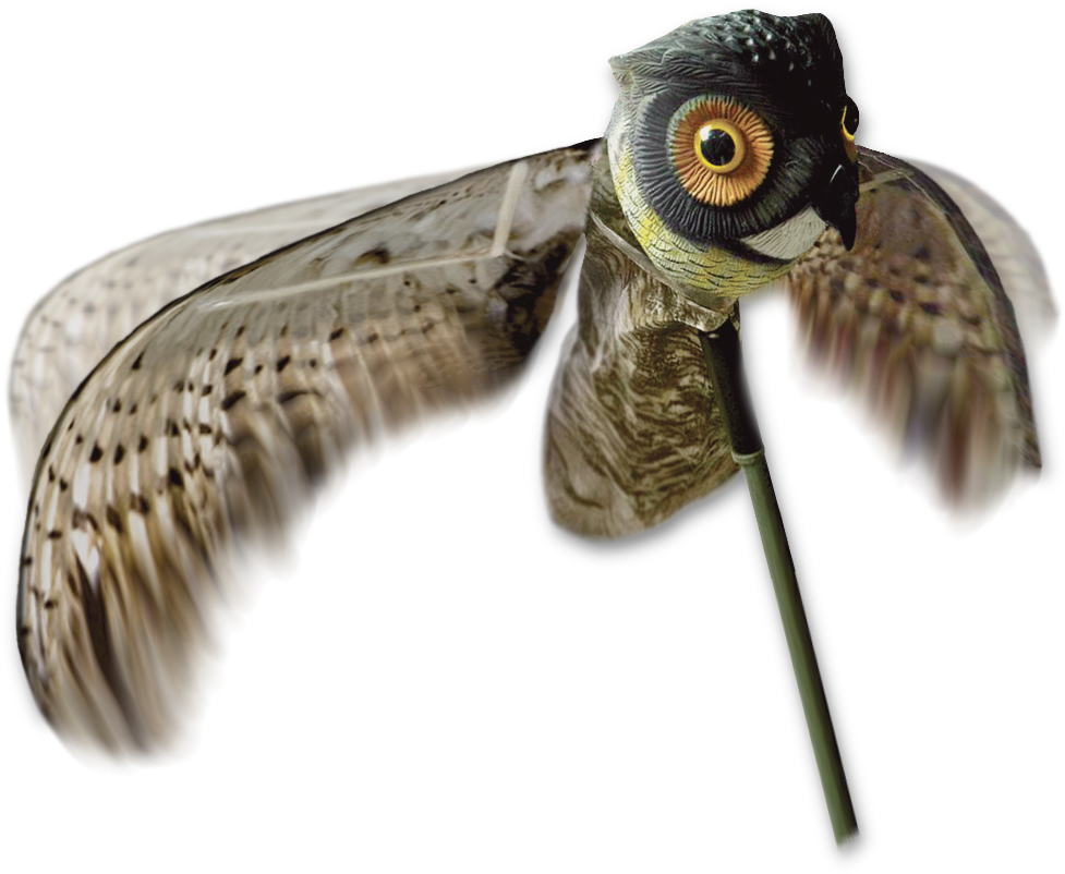 Home / Decoys / Crow Hunting Decoys - Shorebird Clipart (1000x1000), Png Download