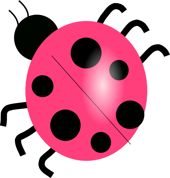 Ladybird Clip Art - Png Download (570x596), Png Download