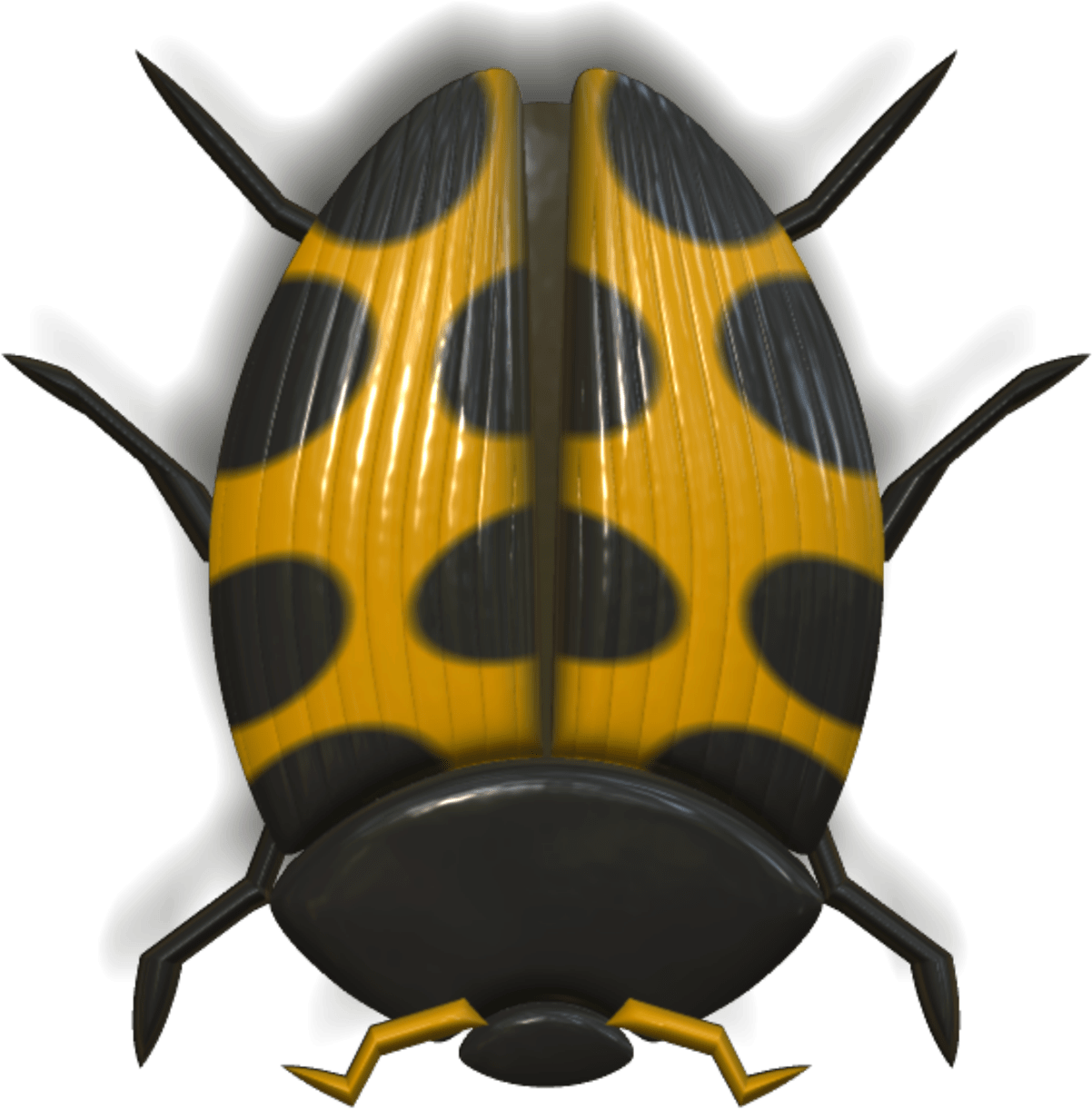 Download Ladybug Orange And Black Transparent Png - Honeybee Clipart (1280x1280), Png Download