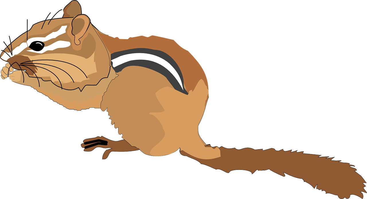 Chipmunk Clipart Small Squirrel - Chipmunk Clipart - Png Dow