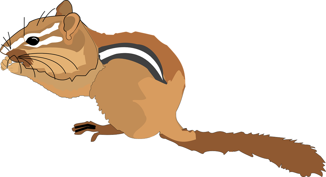 Chipmunk Clipart Small Squirrel - Chipmunk Clipart - Png Download (1280x696), Png Download