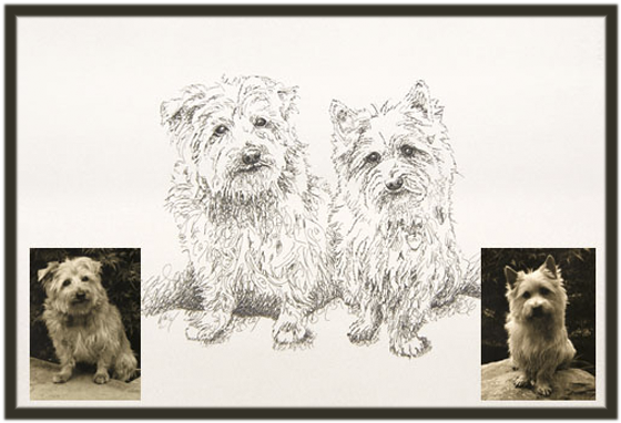 Original Drawing Two Dogs - Keeshond Clipart (649x1000), Png Download