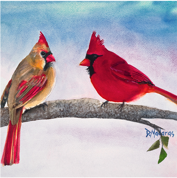 Northern Cardinal Clipart (1000x750), Png Download