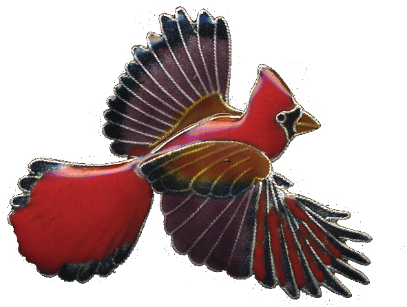 0113pin - Birds - Finch Clipart (900x900), Png Download