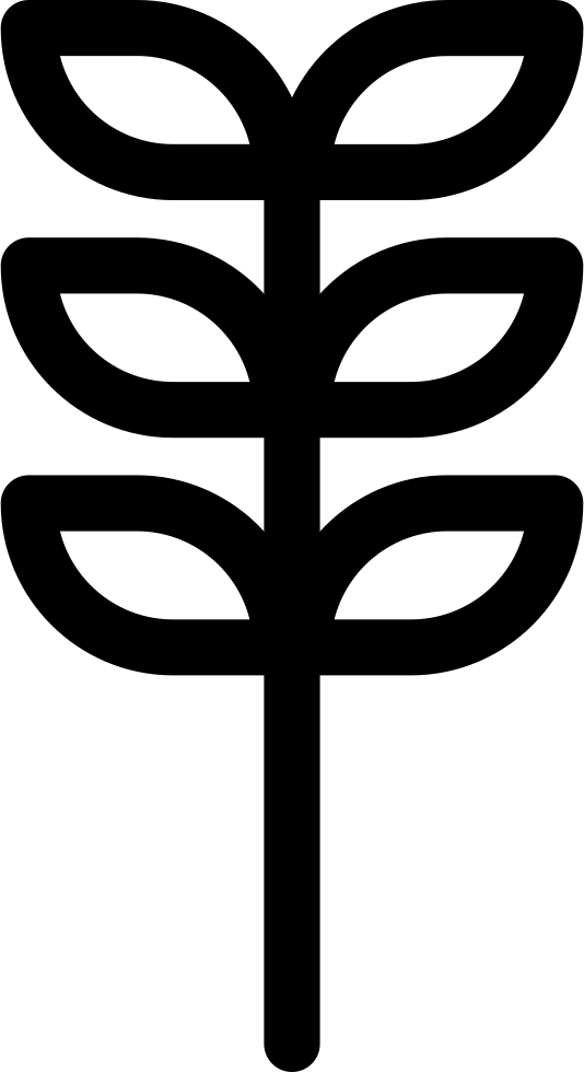 Png File Svg - Alfalfa Icon Clipart (534x980), Png Download