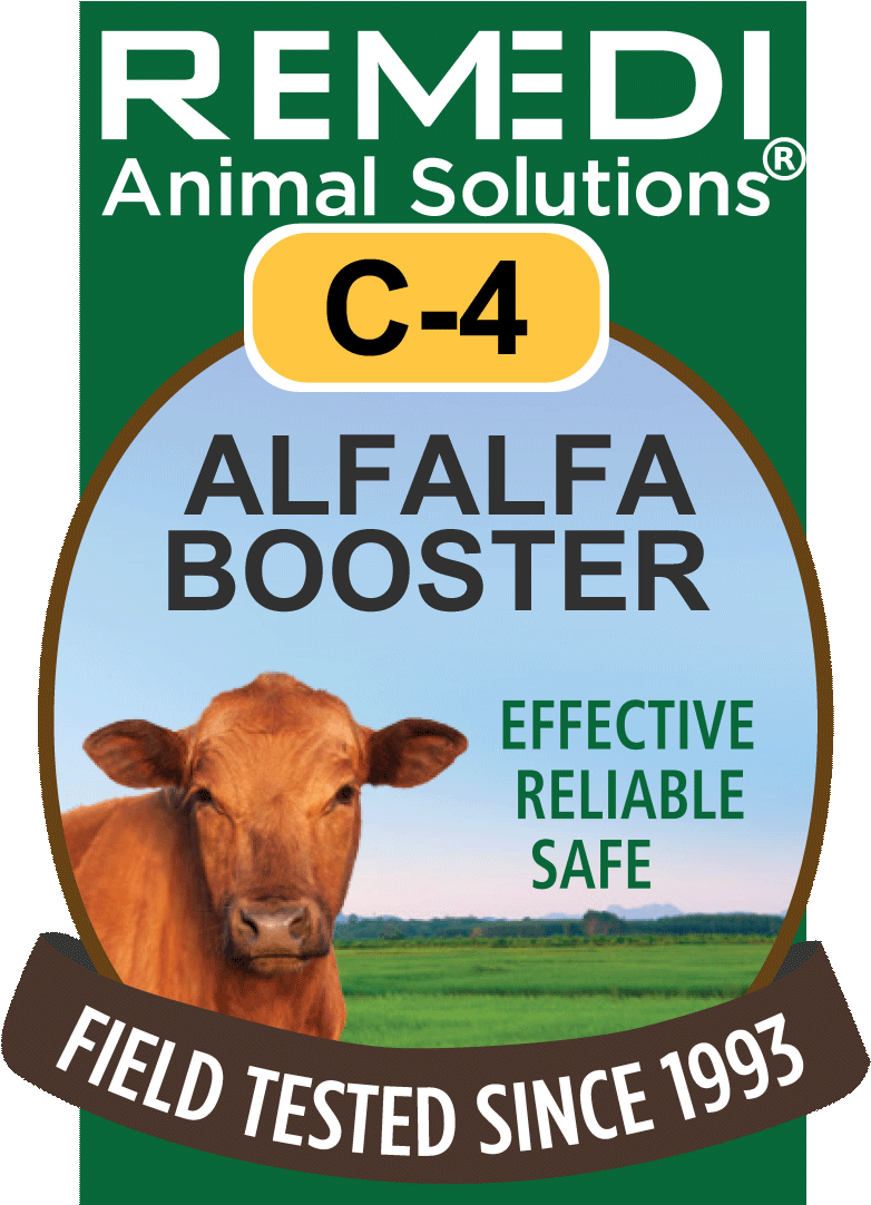 Categories - Cattle Clipart (798x1081), Png Download