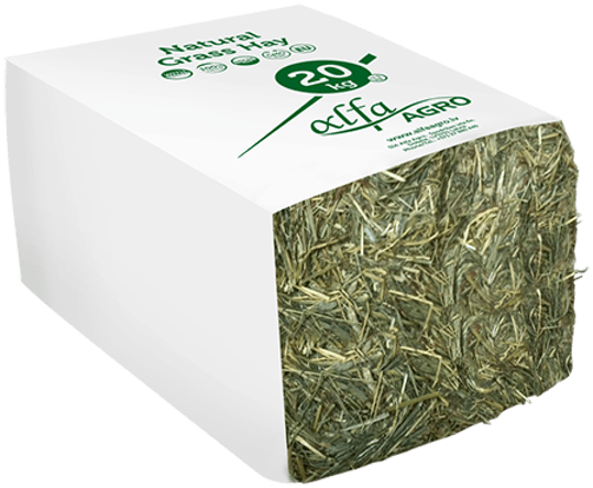 Home - Huangshan Maofeng Clipart (600x600), Png Download