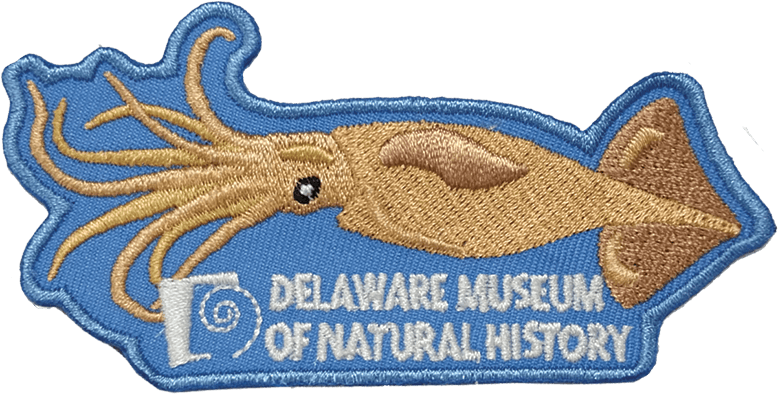 Dmnh Patches Are Available Purchase A Delaware Museum - Label Clipart (800x437), Png Download