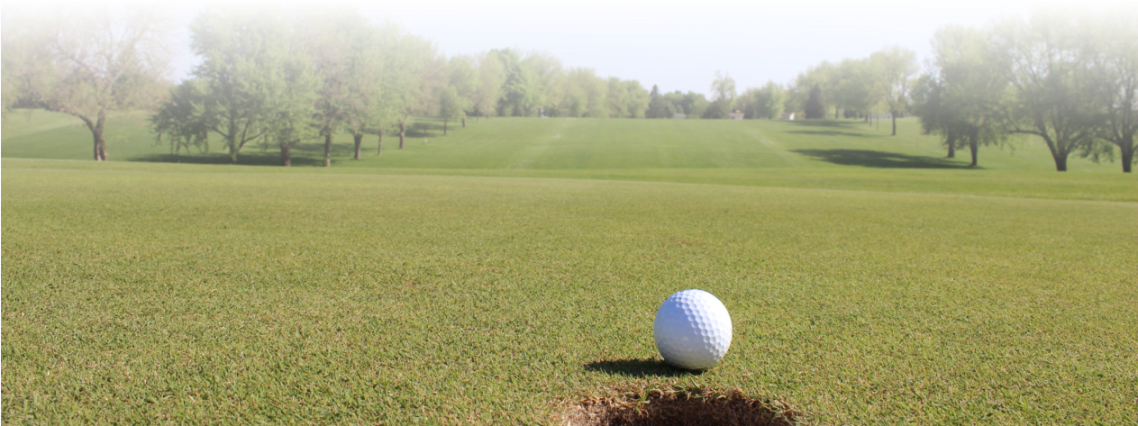 Schleswig Community Country Club Is 9-hole Public Course - Grass Clipart (1262x628), Png Download