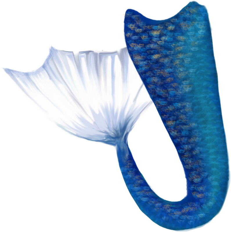 Mermaid Tail Png Clipart (796x799), Png Download