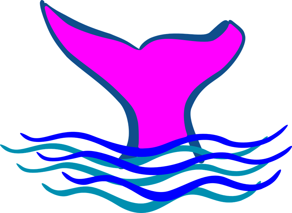 Jpg Transparent Library Mermaid Cutie Free On Dumielauxepices - Tail Clip Art - Png Download (960x701), Png Download