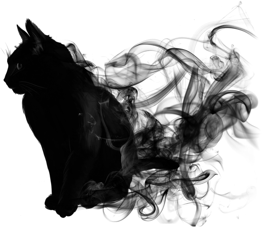 Cat Black Smoke Blacksmoke Animal Blackandwhite - Halloween Wallpaper Iphone Cat Clipart (1024x1024), Png Download