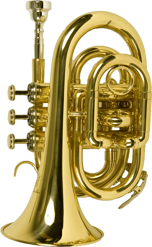 Music - Trumpet Png Clipart (800x1200), Png Download