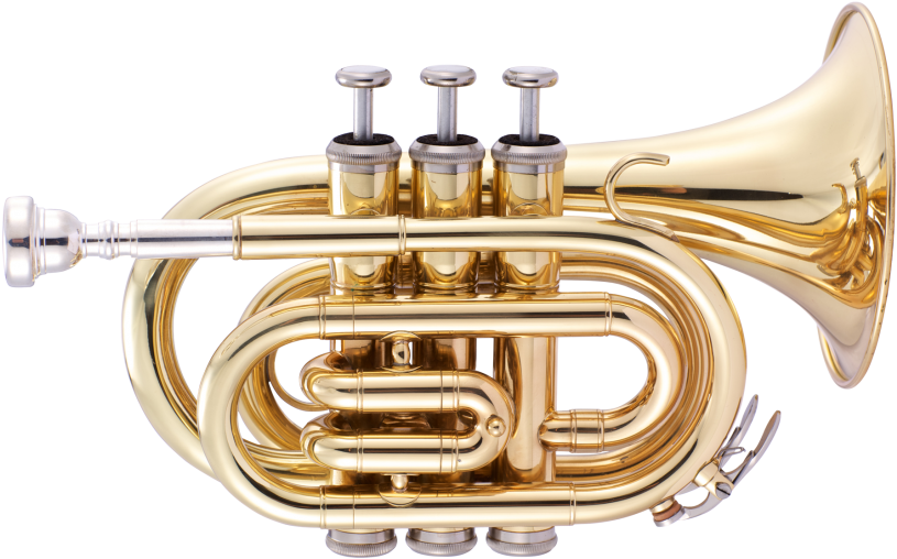 Trumpet Png Transparent Image - Pocket Trumpet Clipart (866x650), Png Download