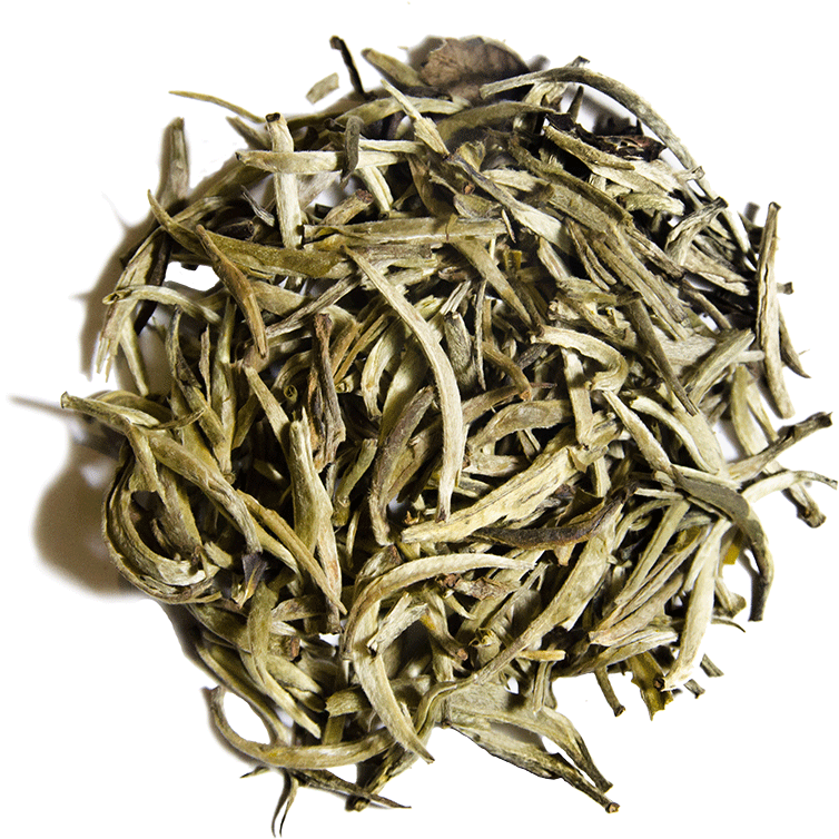 White Bud Yin Zhen - Shoumei Tea Png Clipart (800x800), Png Download