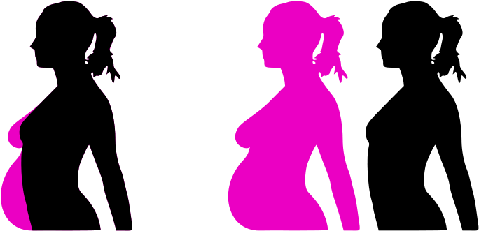 Vector Free Stock Free Clipart Pregnant Woman Silhouette - Pregnant Clip Art - Png Download (800x439), Png Download