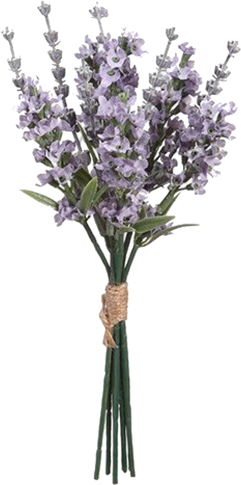 Pngs /like Or Reblog If Used/ - English Lavender Clipart (1280x1280), Png Download