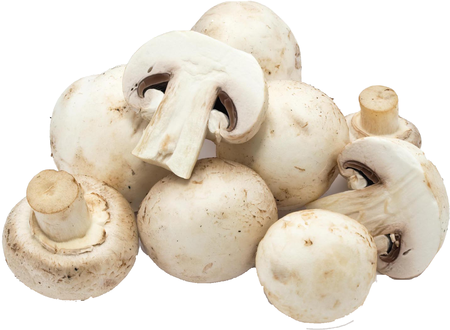 Mushroom Png Clipart (1920x1080), Png Download