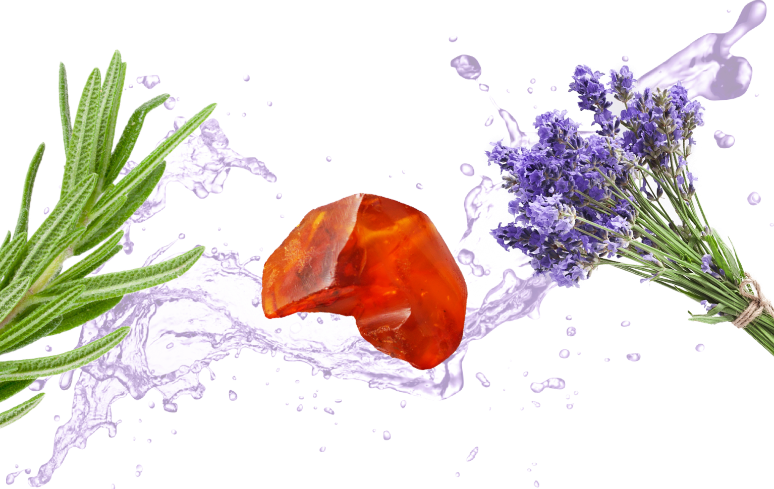 Sweet - English Lavender Clipart (1534x970), Png Download