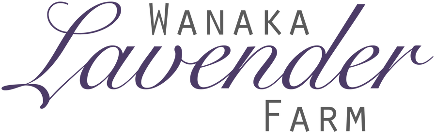 Wanaka Lavender Farm - Calligraphy Clipart (1311x427), Png Download
