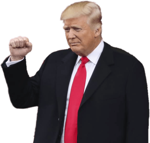 Donald Trump Inauguration - Donald Trump Png Clipart (641x593), Png Download