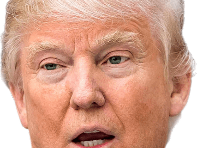 Head Clipart Donald Trump - Meme Im Already Tracer - Png Download (640x480), Png Download