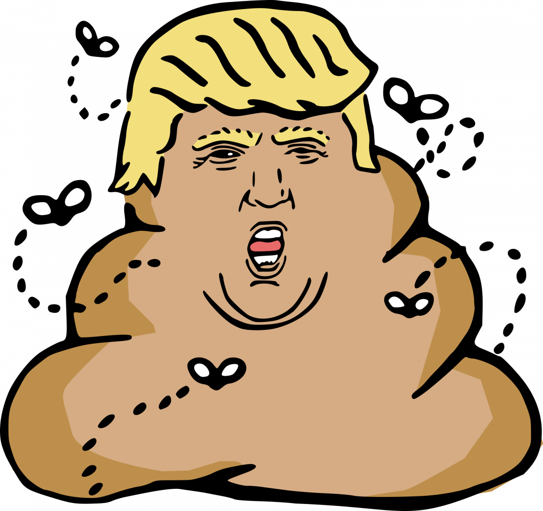 Donald Trump, Turd - Poop Trump Clipart (1080x1016), Png Download