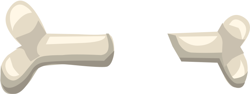 Medium Image - Ivory Clipart (800x694), Png Download