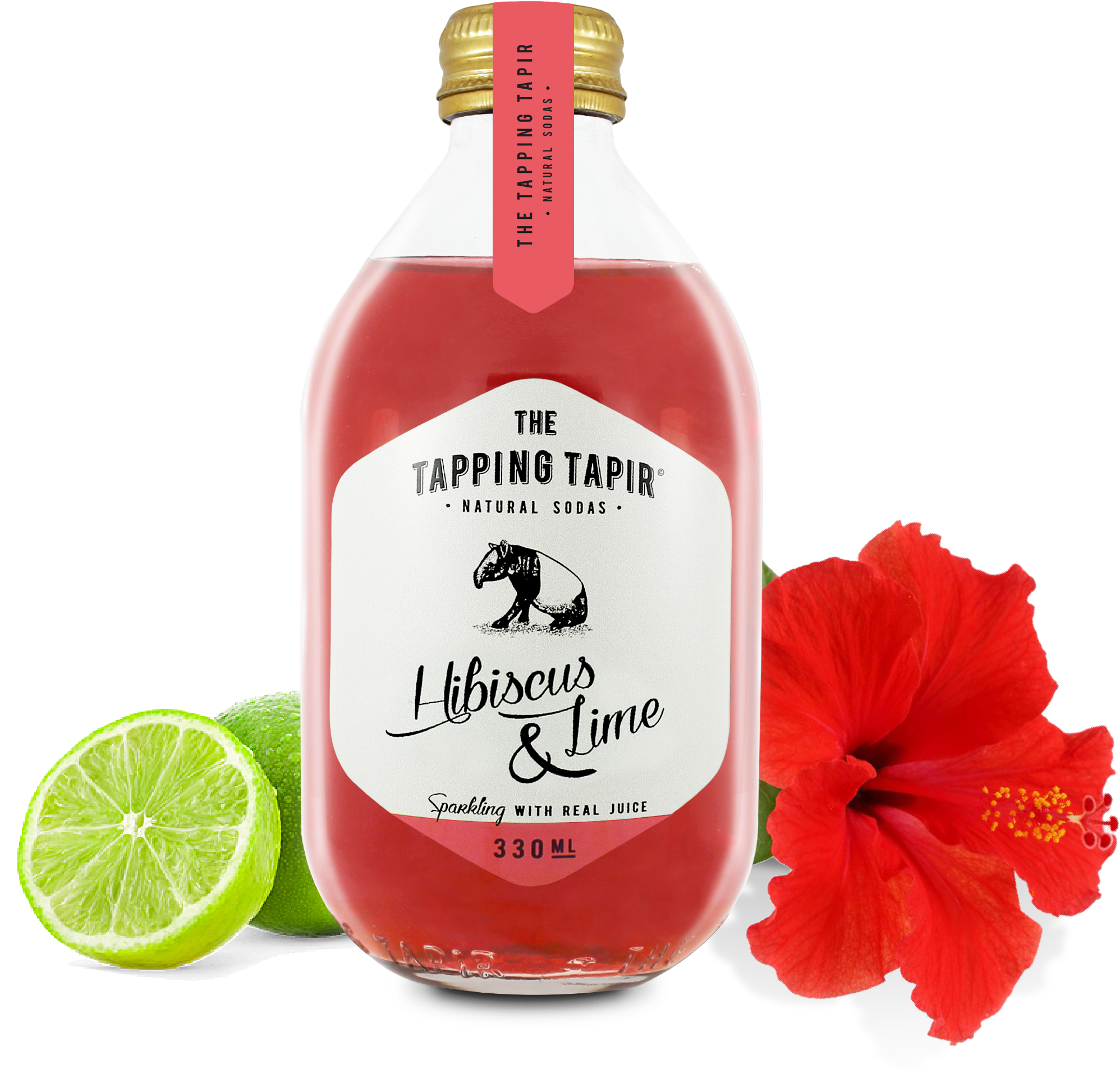 Hibiscus & Lime , Png Download Clipart (1996x1912), Png Download