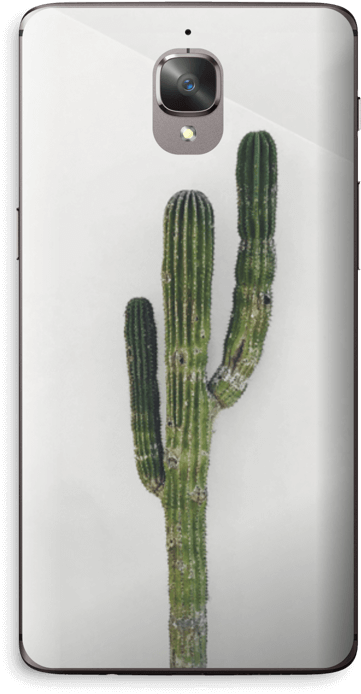 Mexican Cactus Skin Oneplus - San Pedro Cactus Clipart (412x800), Png Download