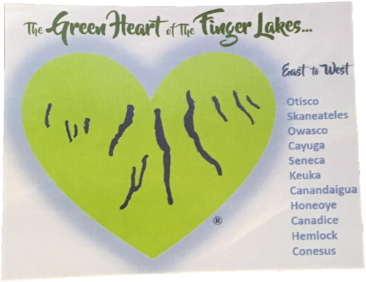 Heart Clipart (901x1200), Png Download