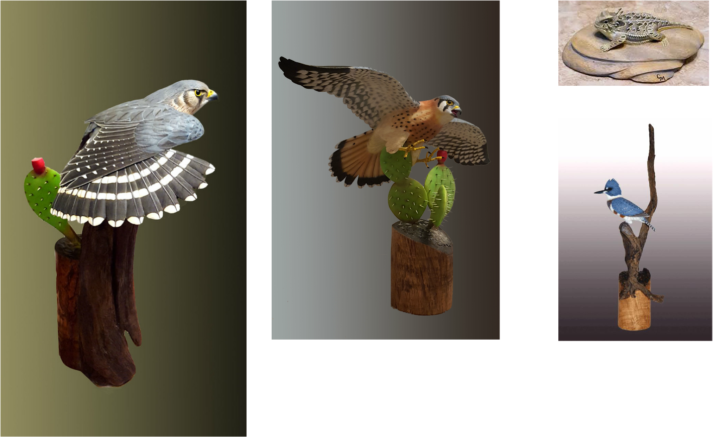 Picture - Hawk Clipart (1420x871), Png Download