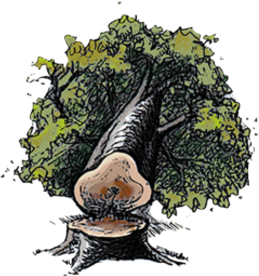 Greenpeace Africaverified Account - Illustration Clipart (705x585), Png Download