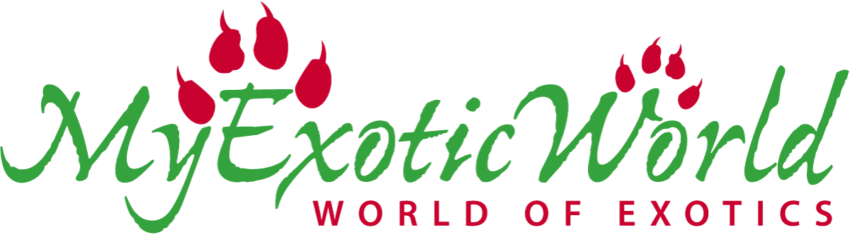 Graphic Design Clipart (1200x332), Png Download