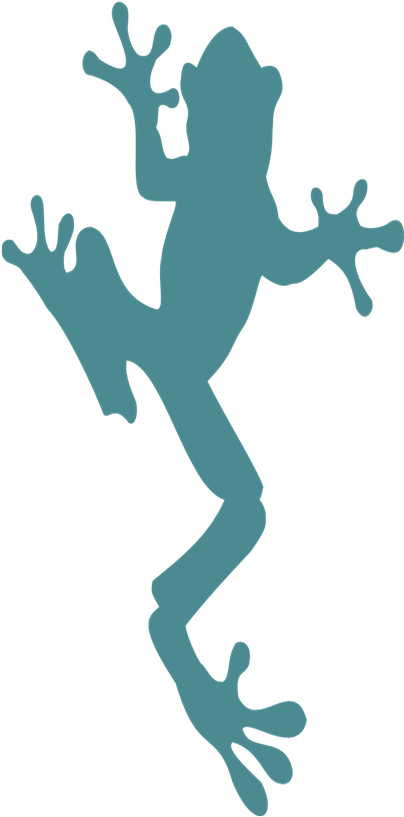 True Frog Clipart (596x851), Png Download